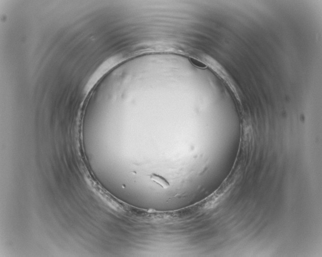 X0000052551002200507221446