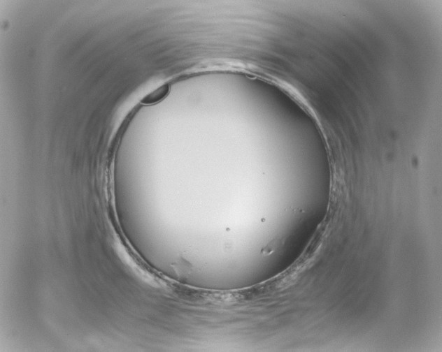 X0000052551003200507221446