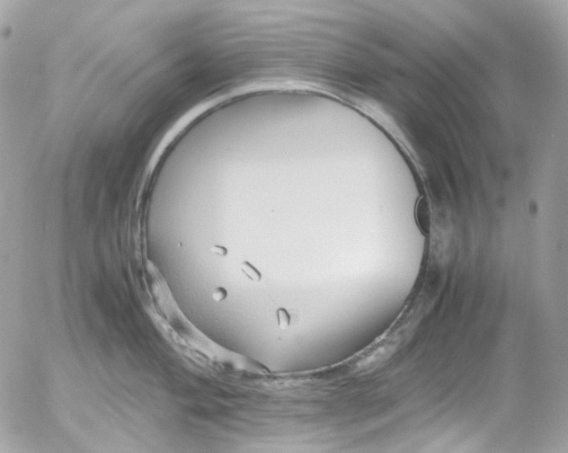 X0000052551004200507221446