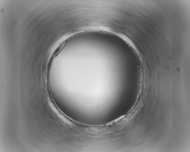 X0000052551005200507221446