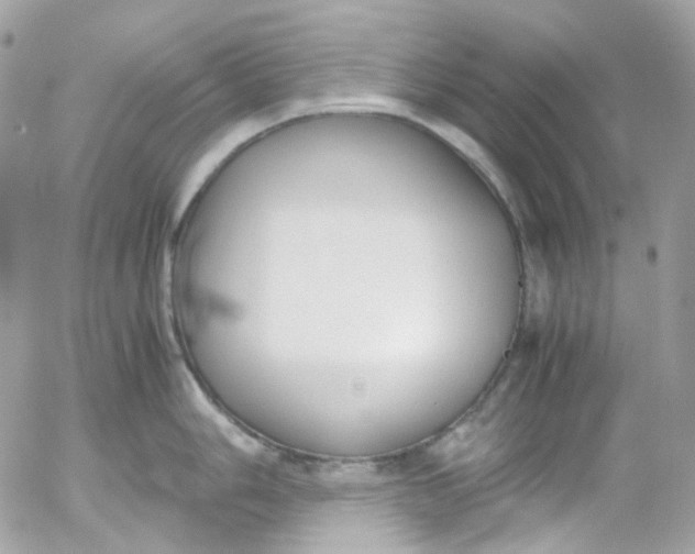 X0000052551006200507221446