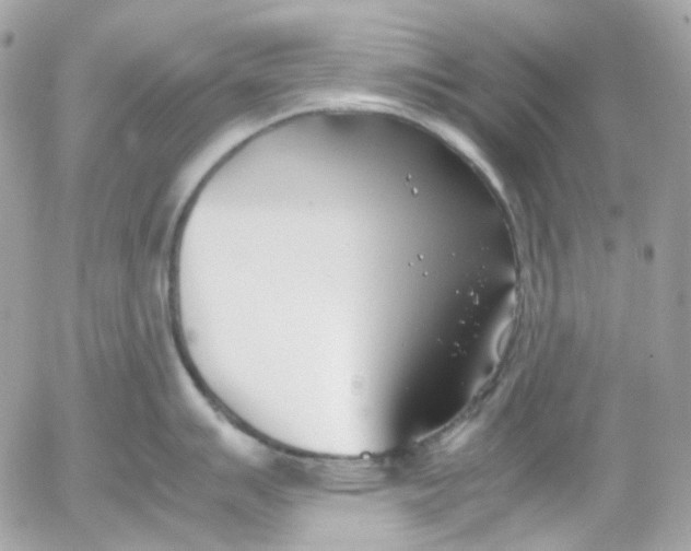 X0000052551007200507221446