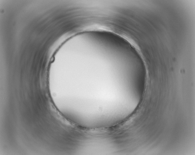 X0000052551008200507221446