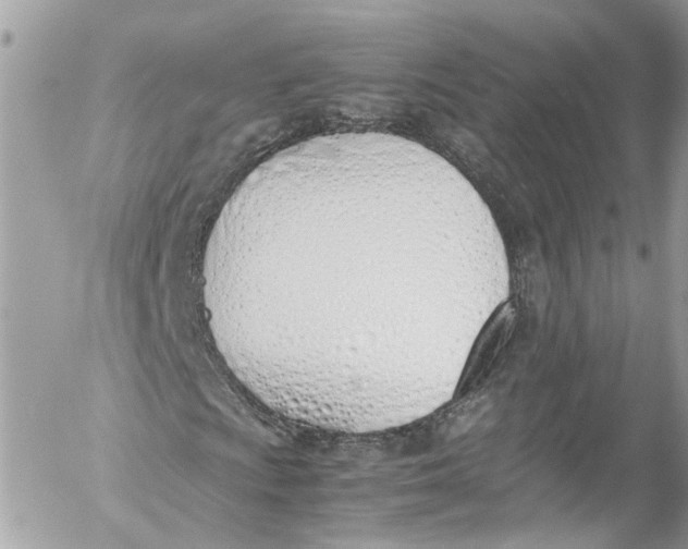 X0000052551009200507221445