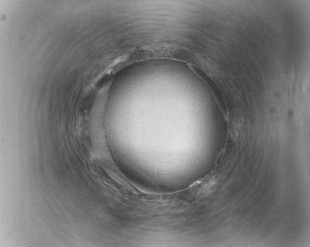 X0000052551010200507221445