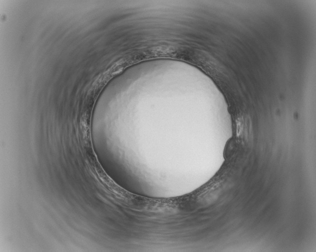 X0000052551011200507221445