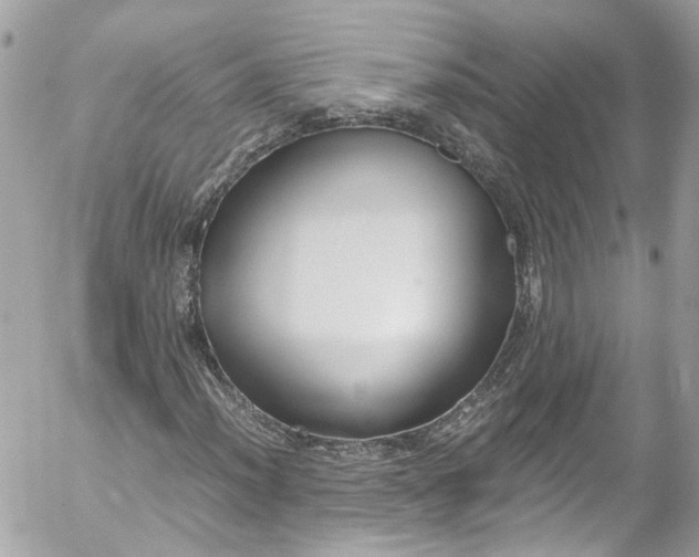 X0000052551012200507221445