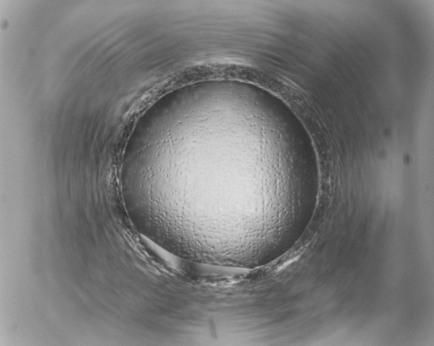 X0000052551014200507221445