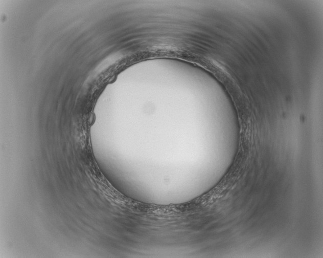 X0000052551015200507221445