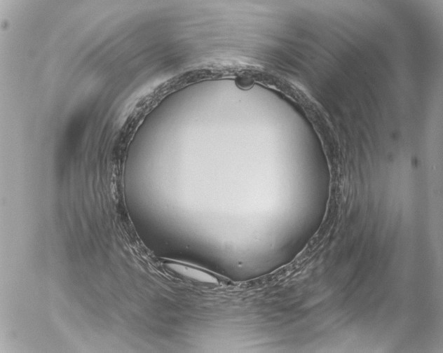 X0000052551016200507221445