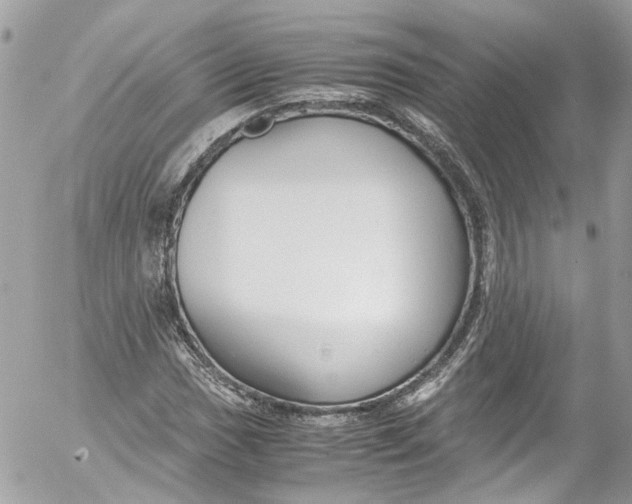 X0000052551017200507221445