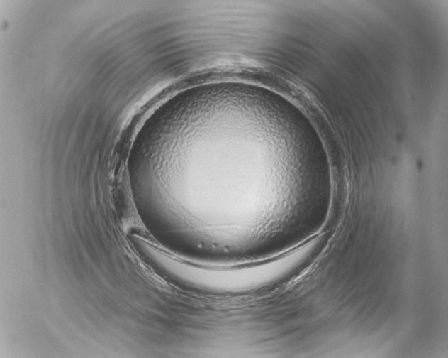 X0000052551018200507221445