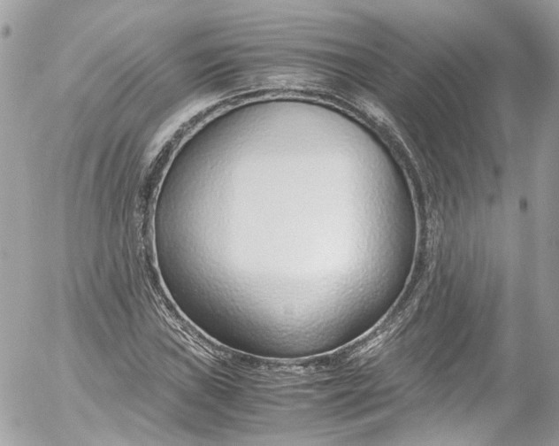 X0000052551019200507221445