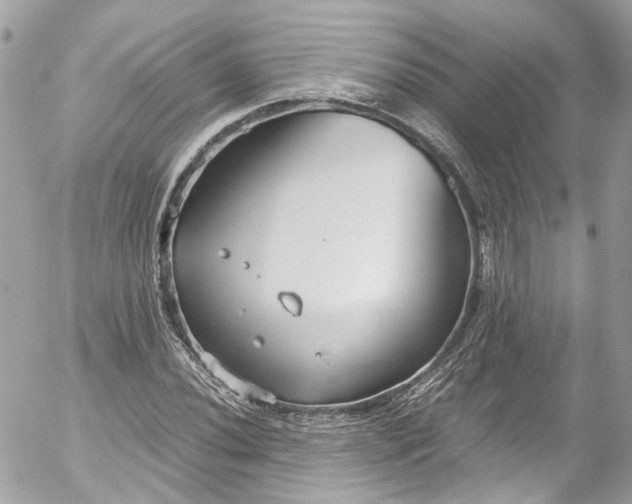 X0000052551020200507221445