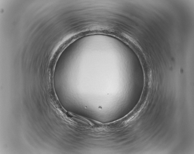 X0000052551021200507221445