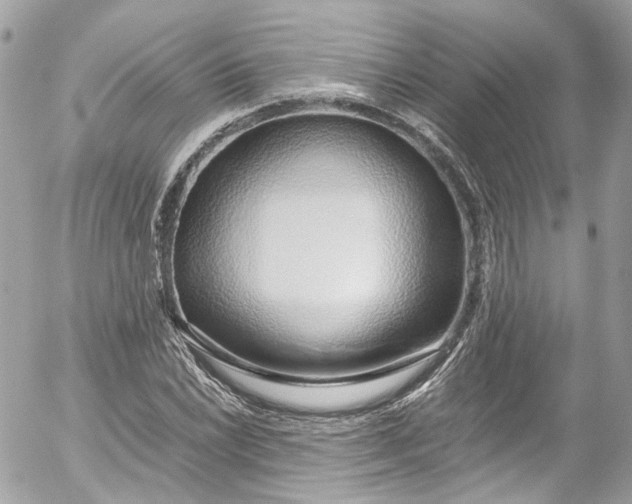 X0000052551022200507221445