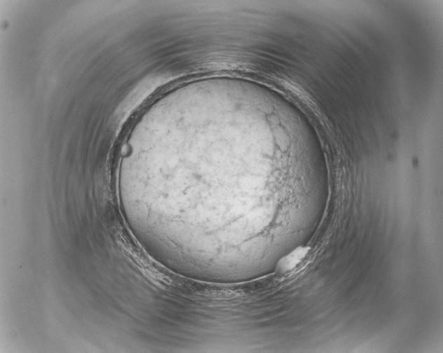 X0000052551023200507221445