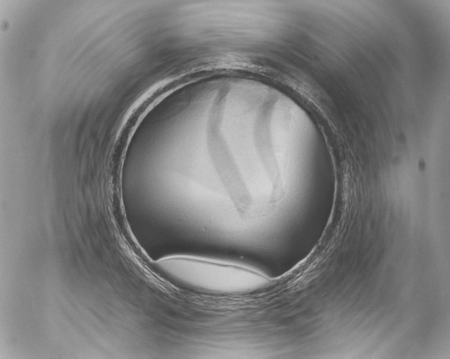 X0000052551024200507221445