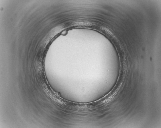 X0000052551025200507221445