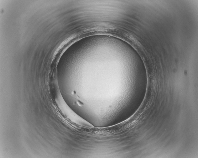 X0000052551026200507221446