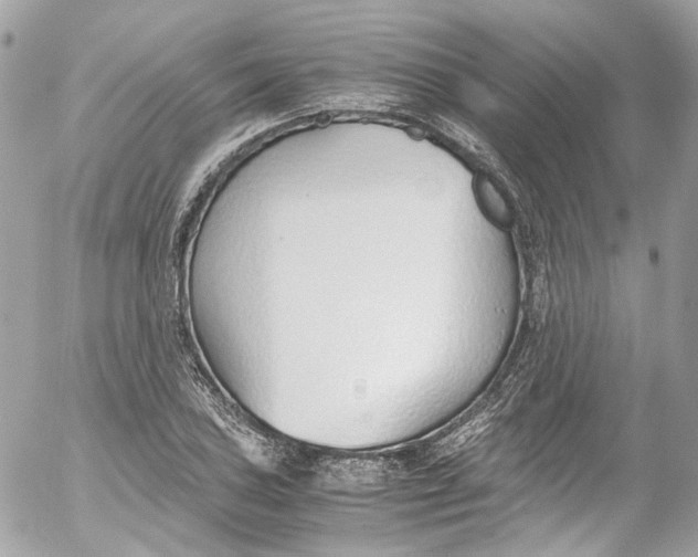 X0000052551027200507221446