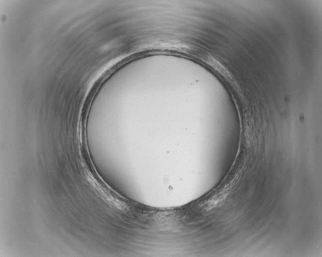 X0000052551028200507221446