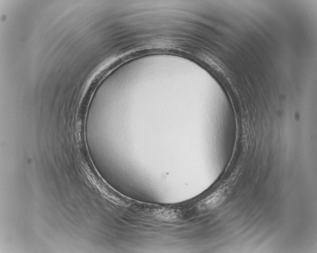 X0000052551029200507221446