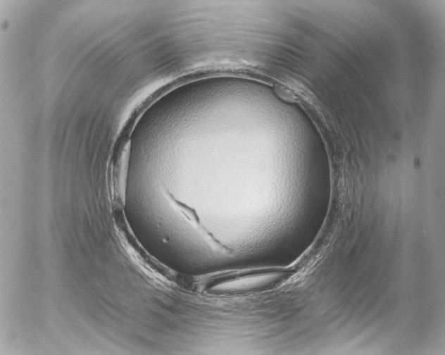 X0000052551030200507221446