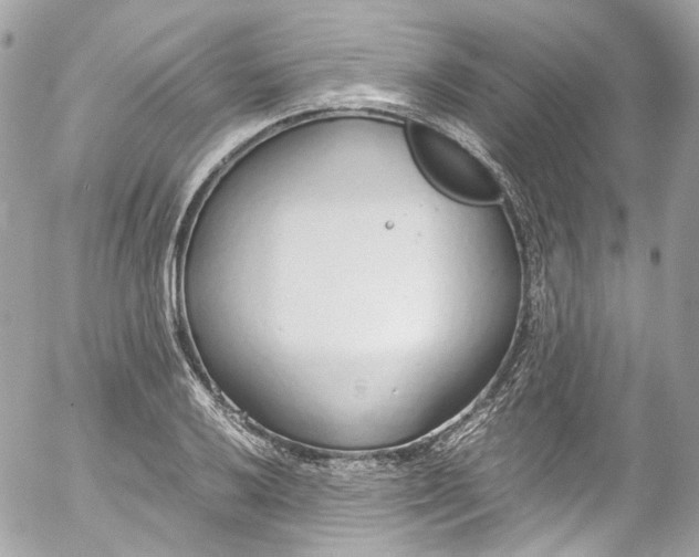 X0000052551032200507221446