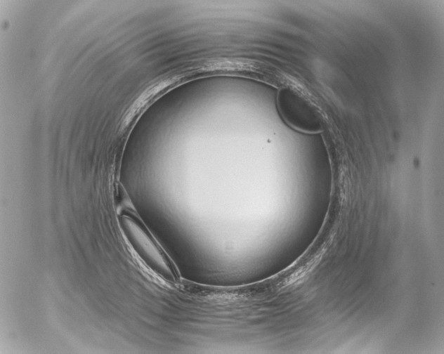 X0000052551033200507221446