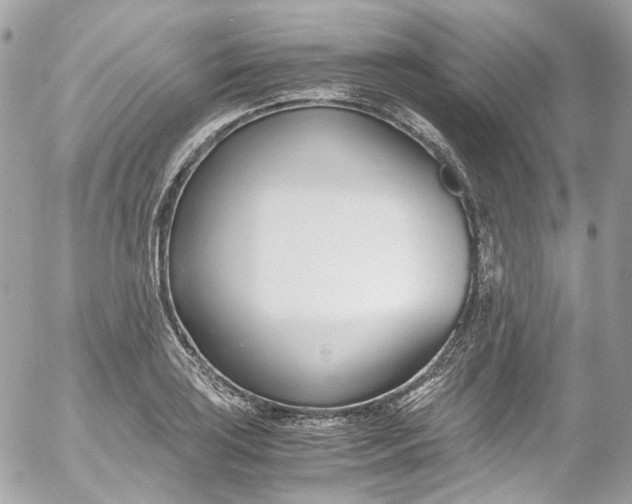 X0000052551035200507221446