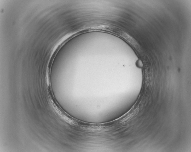 X0000052551036200507221446