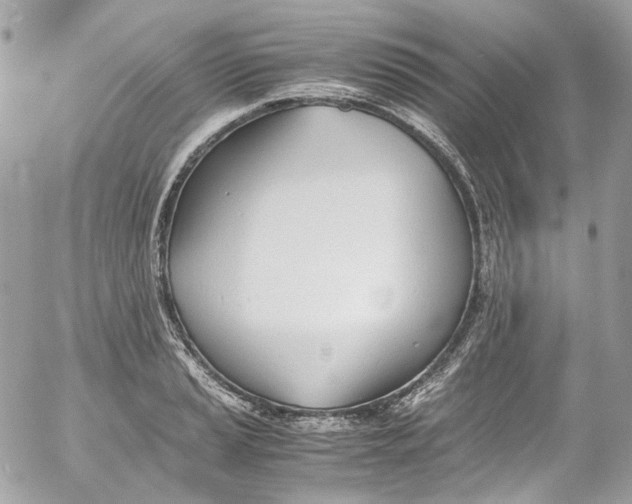 X0000052551037200507221446