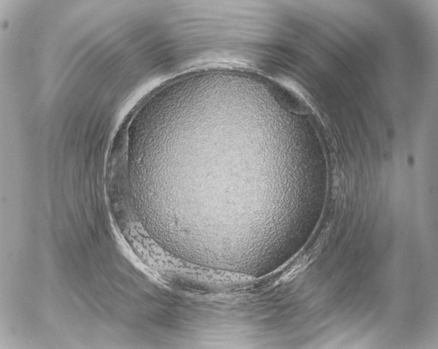 X0000052551038200507221446