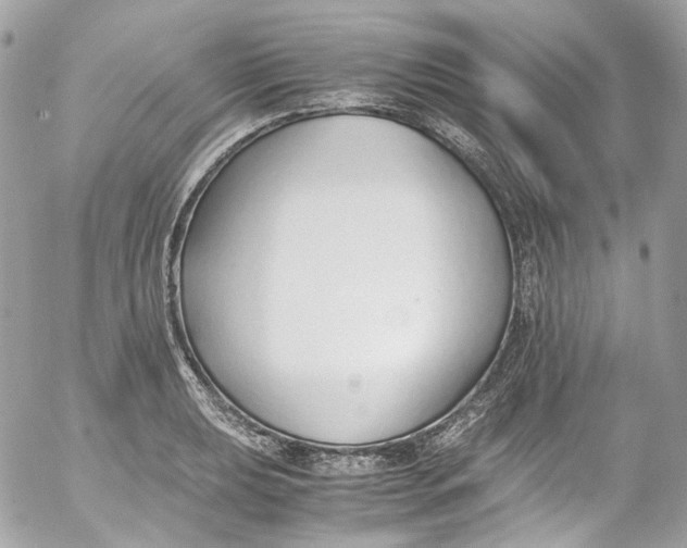 X0000052551039200507221446