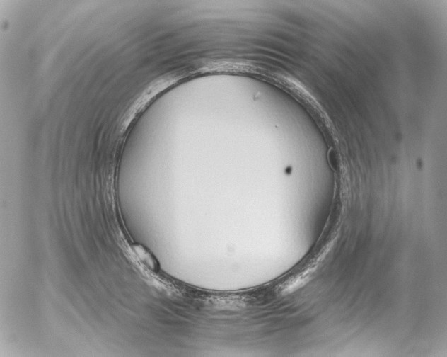 X0000052551041200507221446