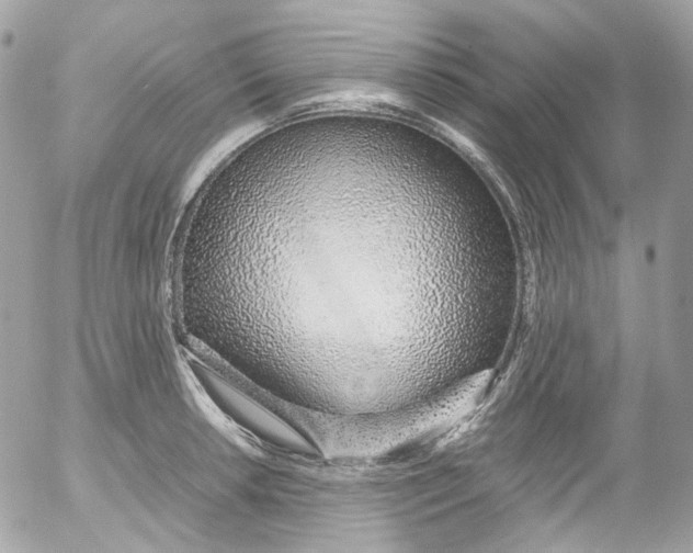 X0000052551042200507221446