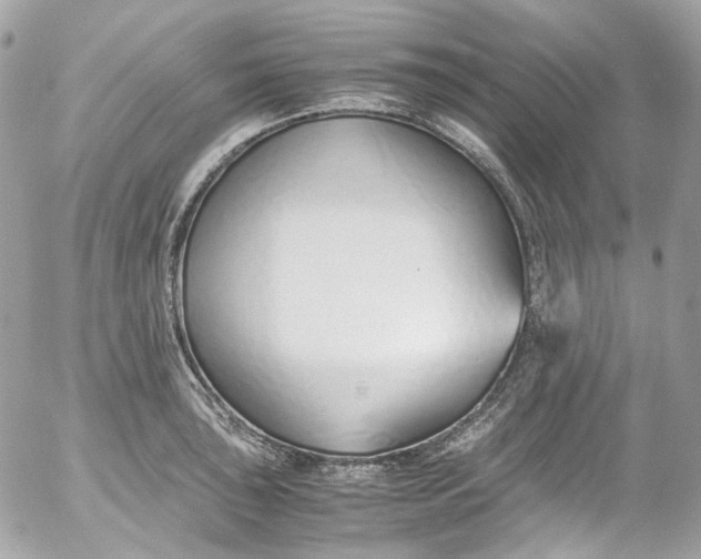 X0000052551043200507221446