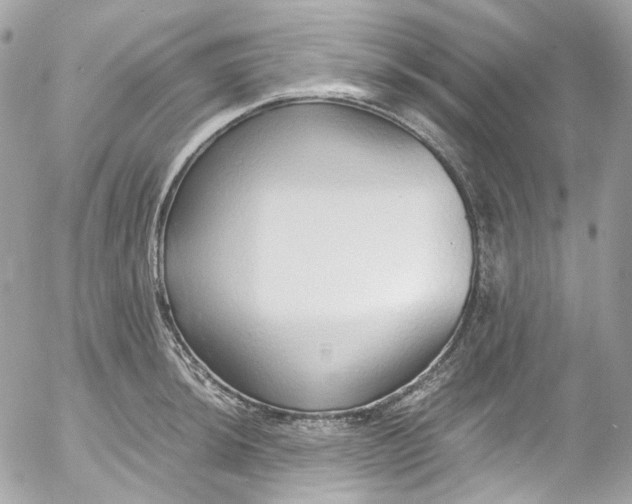 X0000052551044200507221446