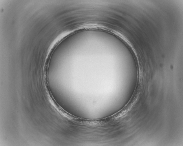 X0000052551045200507221446