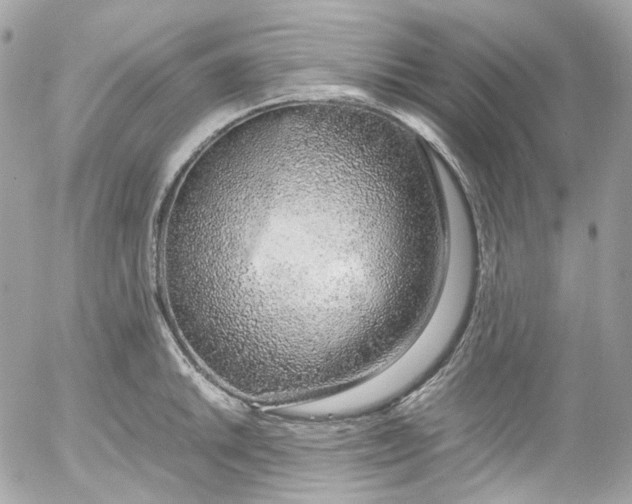 X0000052551046200507221446