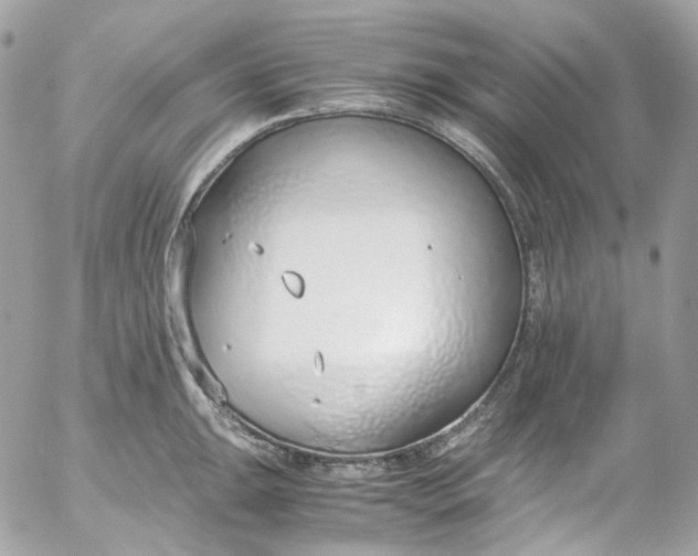 X0000052551047200507221446