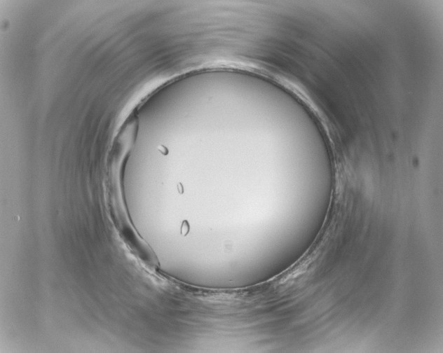 X0000052551048200507221446