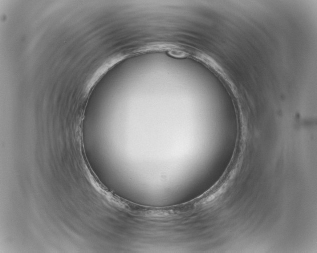 X0000052551049200507221446