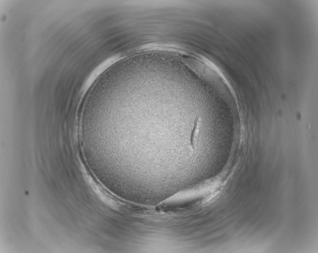 X0000052551050200507221446