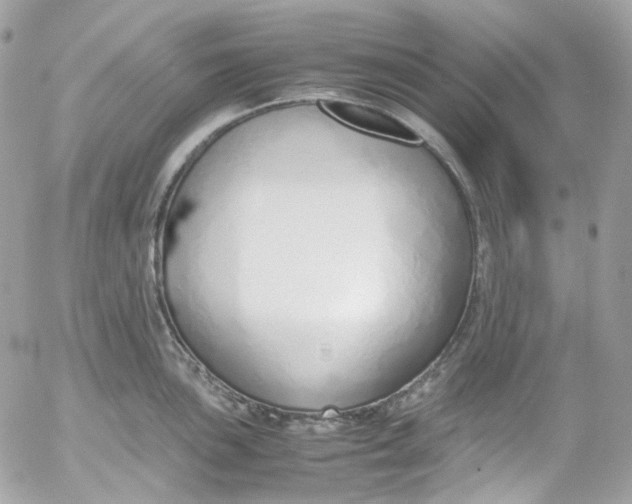 X0000052551051200507221446