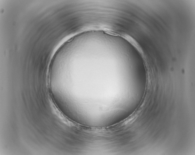 X0000052551052200507221446