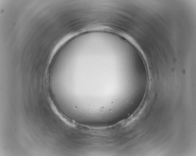 X0000052551053200507221446