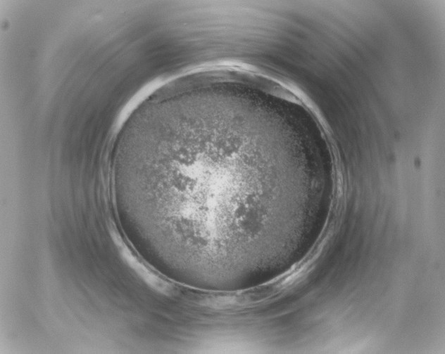 X0000052551054200507221446