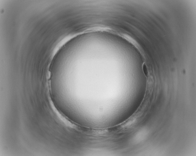 X0000052551055200507221446